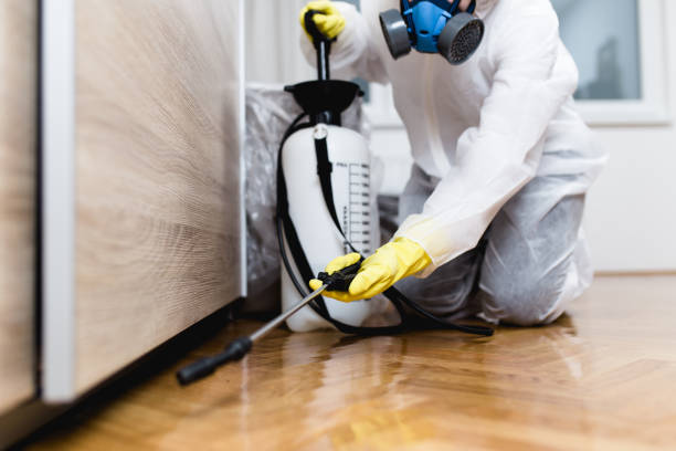 Best Residential Pest Control  in Mammoth Spring, AR