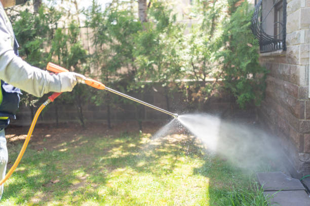 Best Exterminator Services  in Mammoth Spring, AR