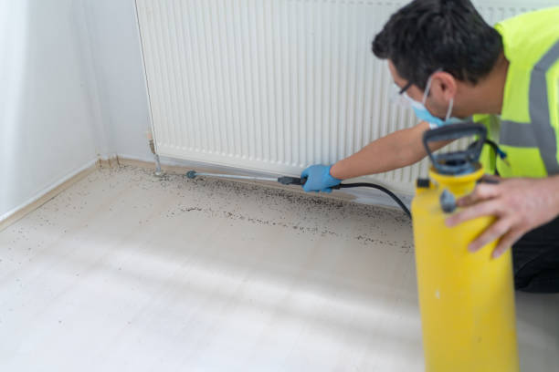 Best Wasp Removal Services  in Mammoth Spring, AR