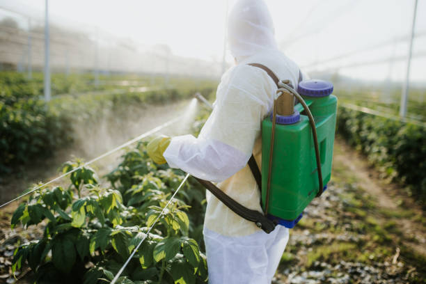 Best Mosquito Control Services  in Mammoth Spring, AR